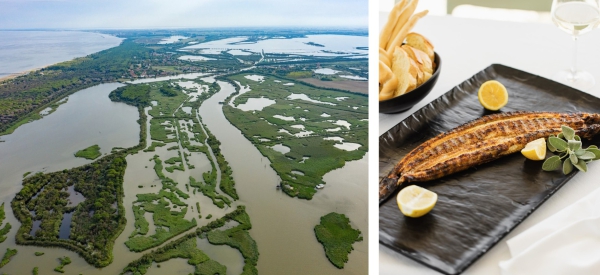 Aal-Festival in Comacchio: Die Sagra dell’Anguilla bringt Kulinarik und Tradition ins Po-Delta